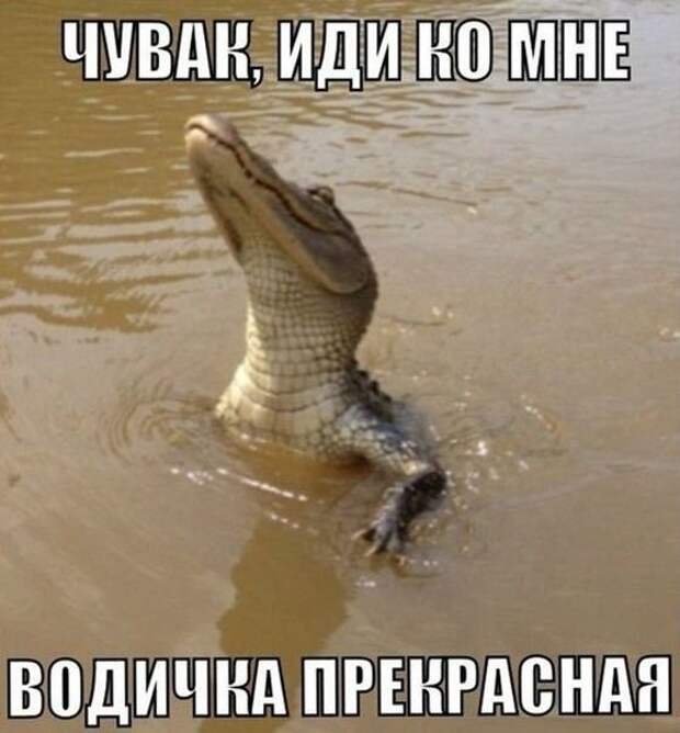Смешная галерея фотоприколов  # 75