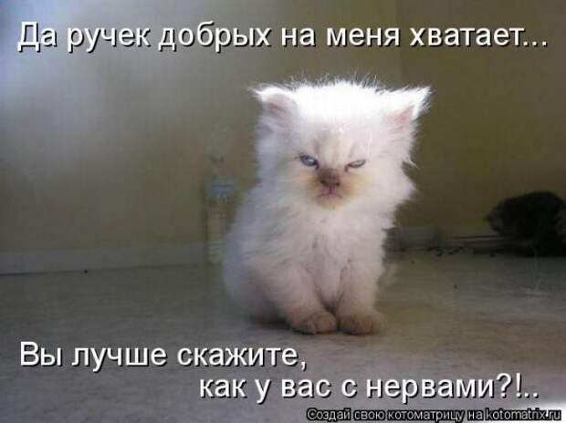 Котоматрицы(картинки с надписями)