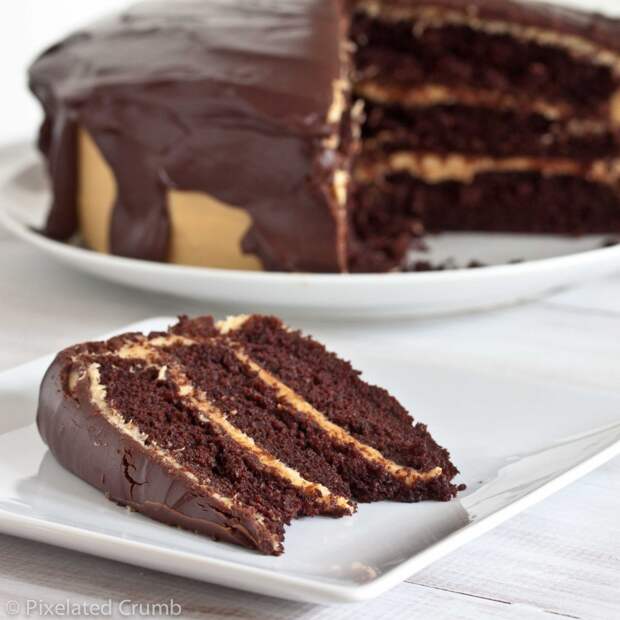 ultimate chocolate peanut butter cake 4 1024x1024 the ultimate chocolate peanut butter cake