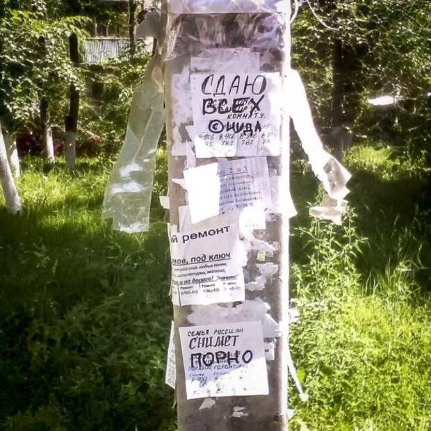 Картинки, юмор, приколы