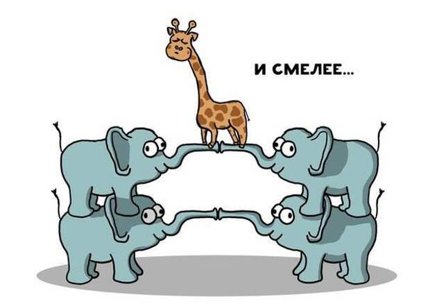 история про жирафа Жору 