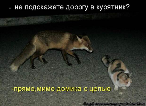 3802001_1_10 (700x509, 54Kb)