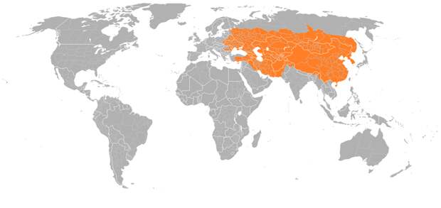 10. Примерные размеры Монгольской империи в 1279 году по сравнению с современным миром 