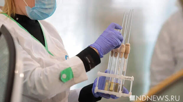 В Подмосковье выявили новый случай оспы обезьян после полового контакта