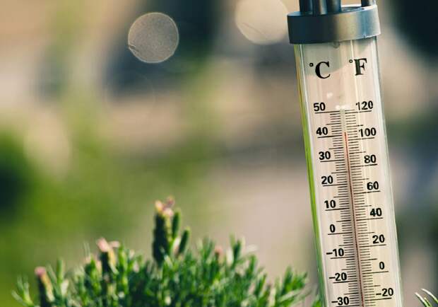 Жара признана самым смертоносным погодным явлением в мире