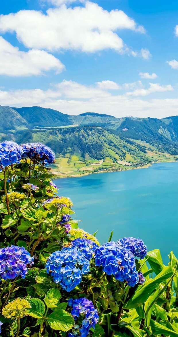 Amazing Lake of Sete Cidades with hortensia's, Azores, Portugal | 32 Stupendous Places in Portugal every Travel Lover should Visit