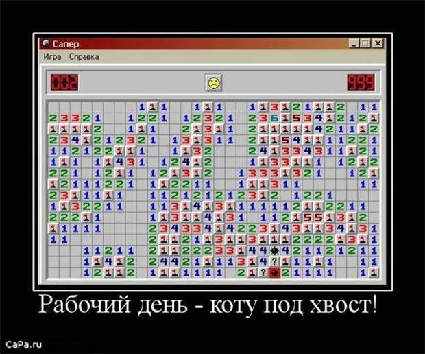 Утренний позитив!  10.09.2009