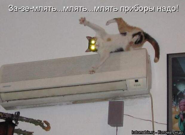 Подборка прикольных котоматриц