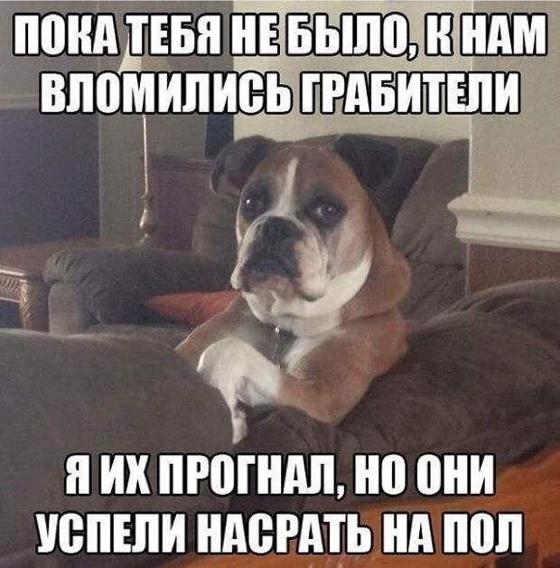 2 успелинасрать на пол (640x649, 115Kb)