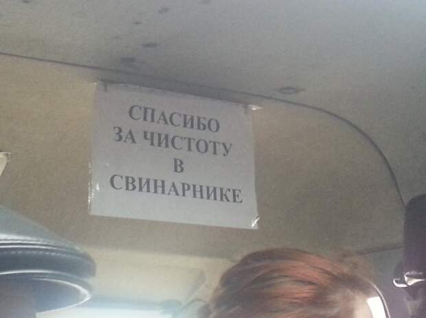 Маразмики  картинки, настроение, позитив, фотоприкол