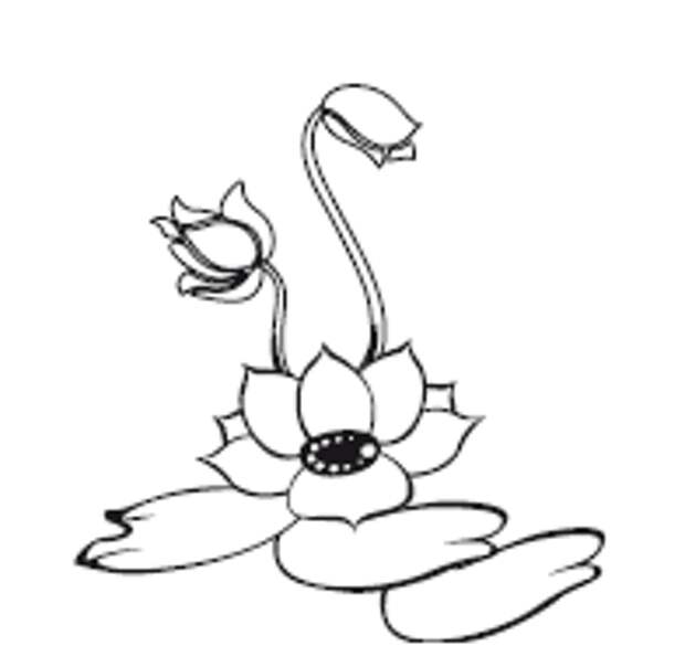 Крайон. 85 важнейших практик для обретения Силы, Света, Защиты и Любви - _63.jpg