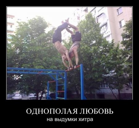 Веселые картинки демотиваторы.