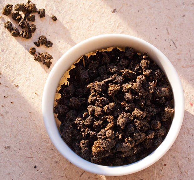 быстрый заговор