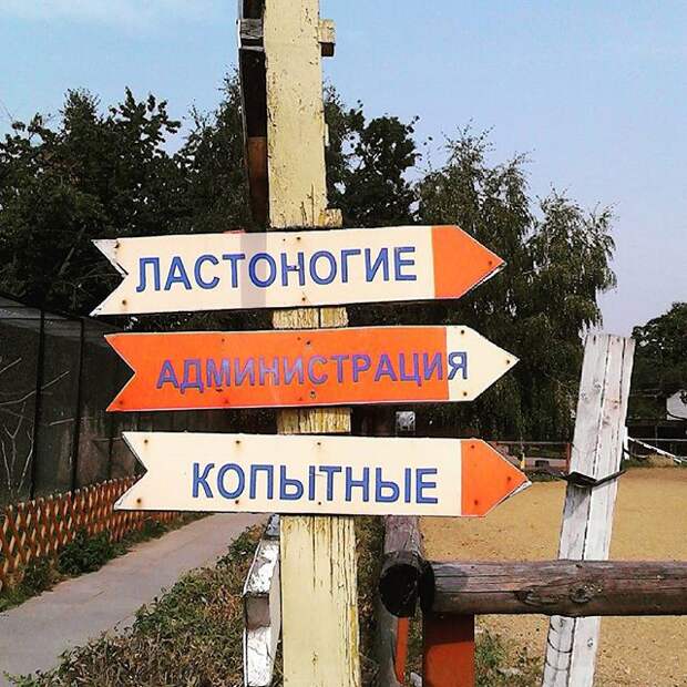Хоть где-то правильные указатели поставили Хоть где-то правильные указатели поставили Витебск, беларусь, гродно, минск, прикол, это Беларусь детка