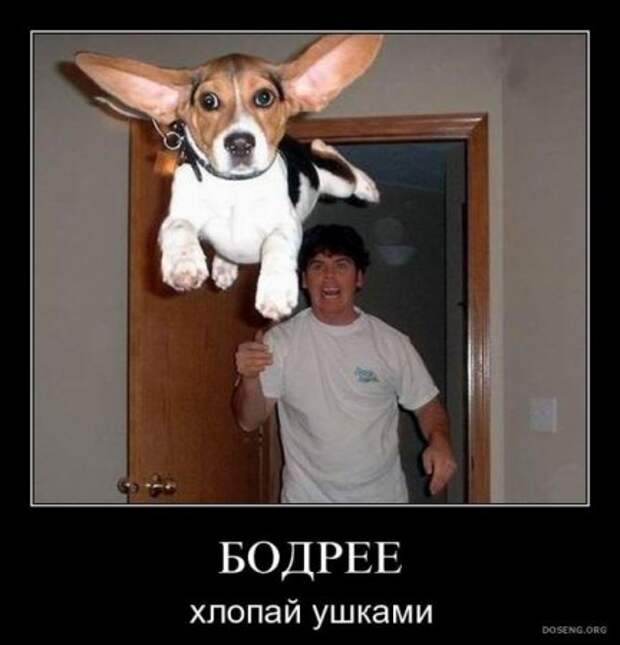 Демотиваторы, будет смешно много новых и прикольных!