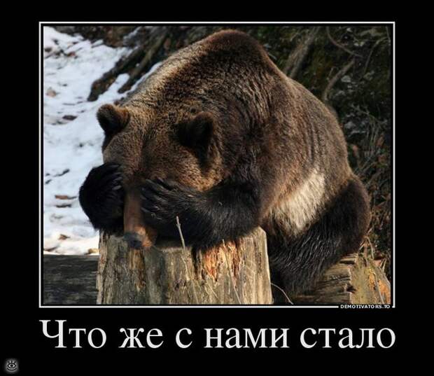 Всё относительно! 2