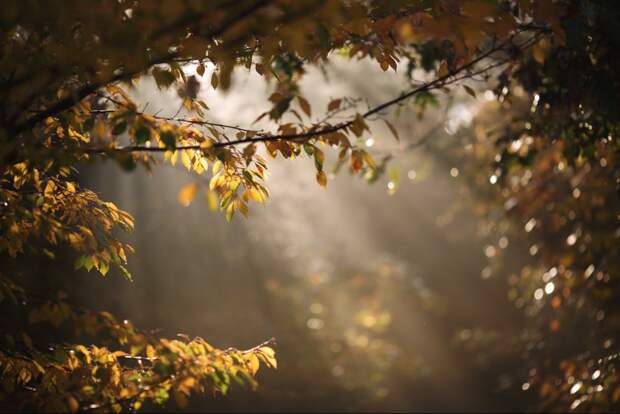 25-Photos-Which-Charmed-Even-Professional-Photographers-Artnaz-Com-17