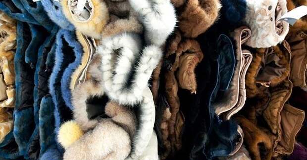 100 полезных советов на все случаи жизни 