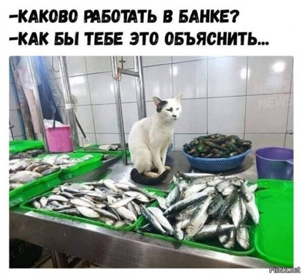 b37375499e4c496cb9493a3e8f862661 (700x639, 317Kb)
