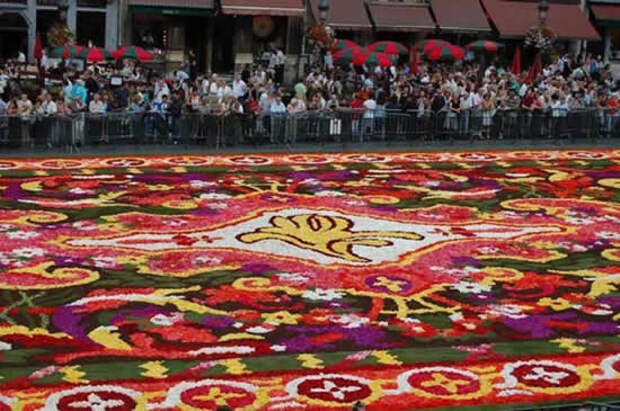 flower carpet5 The Giant Flower Carpet of Brussels 