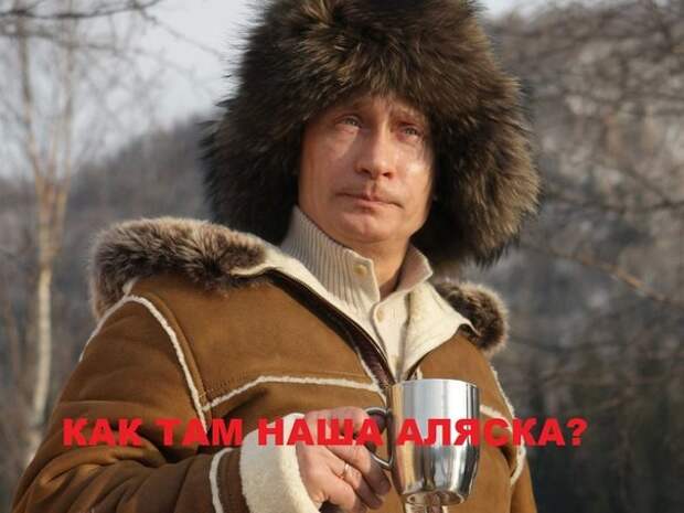 Алясканаша, и никаких гвоздей! Алясканаша, и никаких гвоздей!