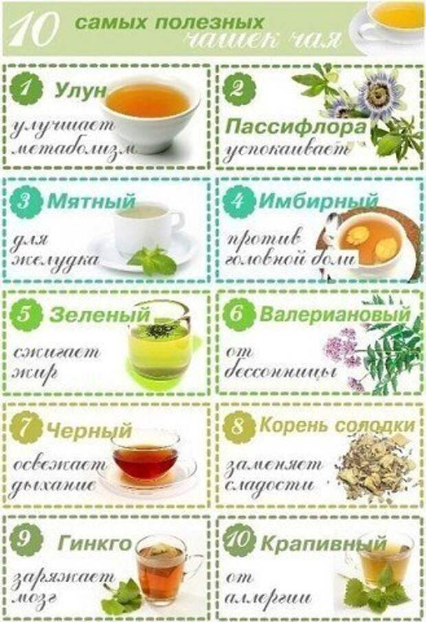 10 самых полезных чашек чая! На заметку