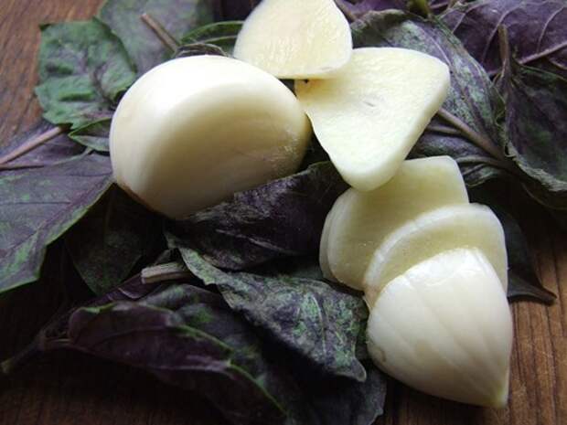 garlic health 12