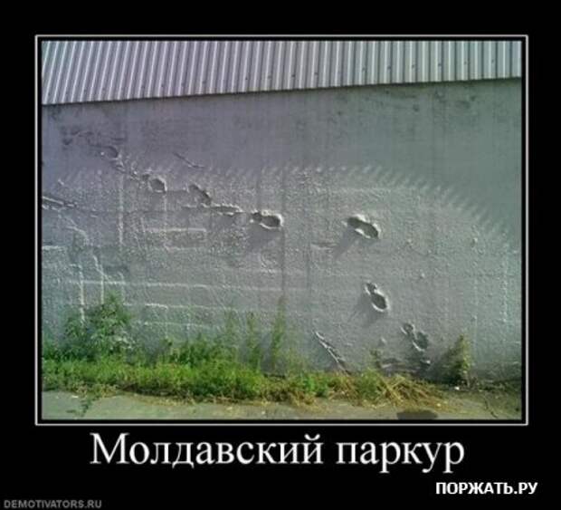 Демотиваторы, юмористические надписи.