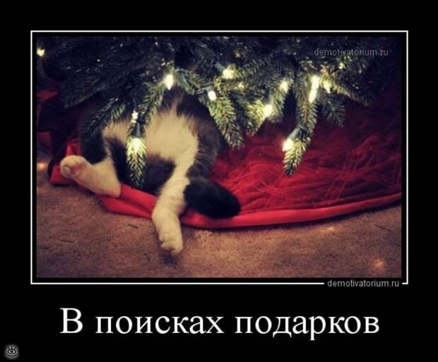 Демотиваторы на 1 января 2016 года 17
