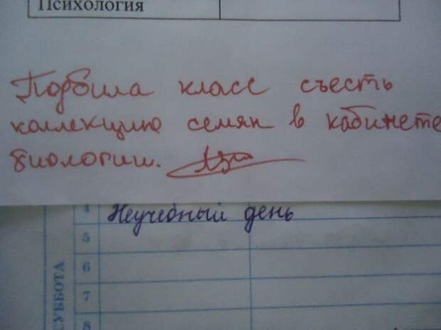 смешная запись в дневнике школьника