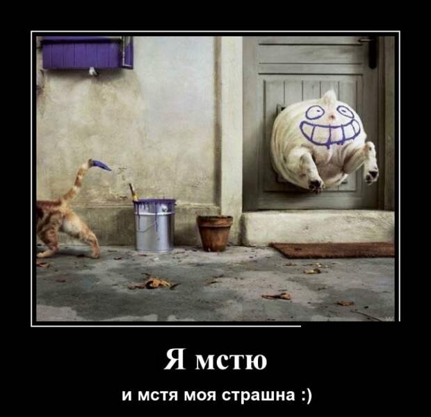 Демотиваторы (30 фото) Демотиваторы (30 фото)