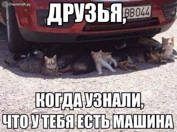 Дорожные приколизмы 9