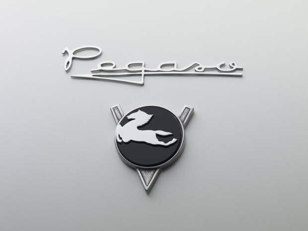 sportivnoe-kupe-pegaso-z-102 (10)