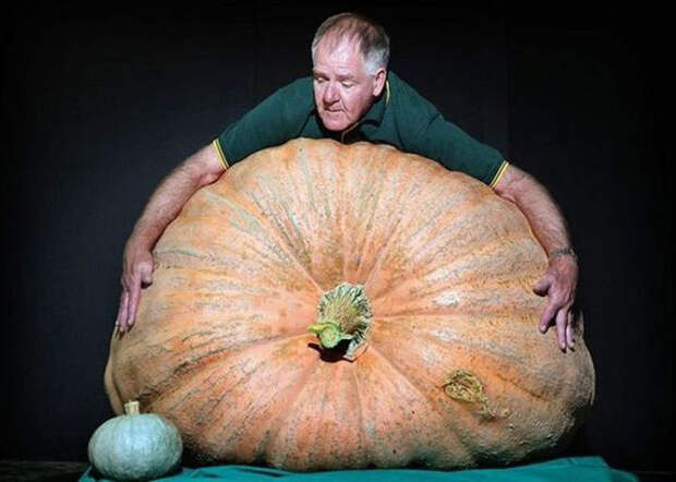mammoth-pumpkin (683x487, 72Kb)