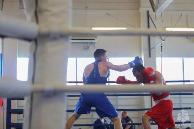 В Академии гражданской защиты стартовали всероссийские соревнования МЧС России по боксу
