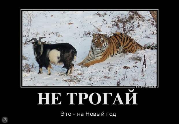 Праздник приближается! 3