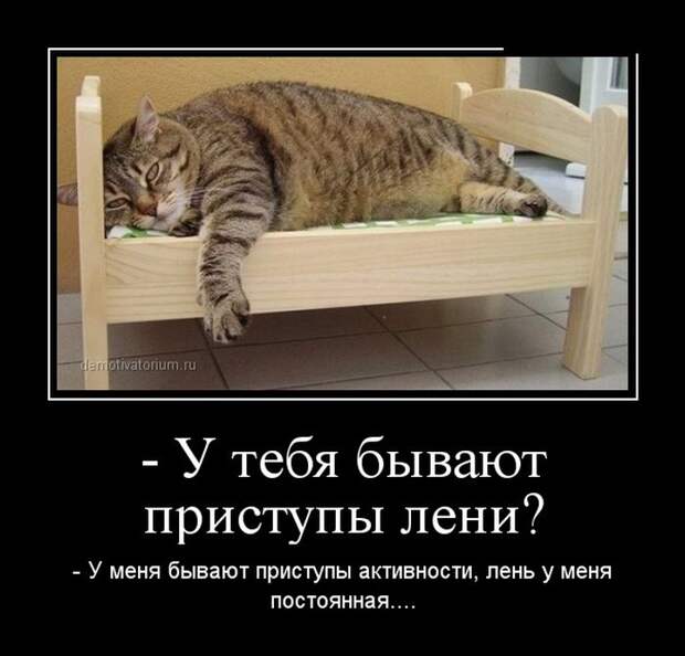 Демотиваторы (30 фото) Демотиваторы (30 фото)