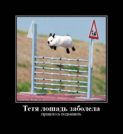 Смешные демотиваторы у нас каждый день!