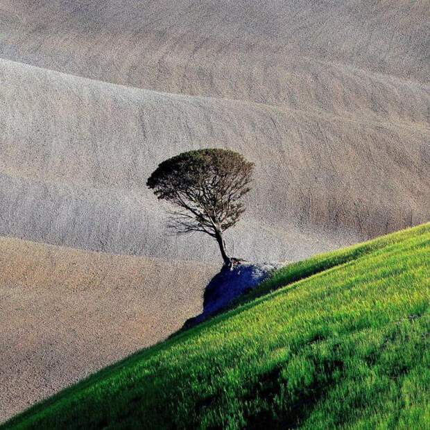 sony-world-photography-awards-2013 (6)