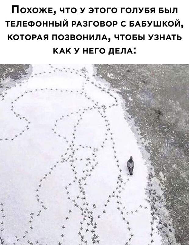 Смешные картинки 4 января 2021 года