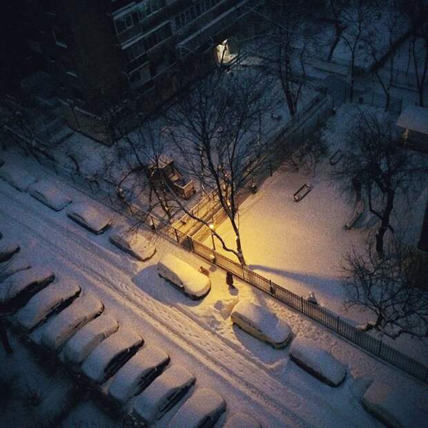 iphone photography award фото сделанные на смартфон (14)