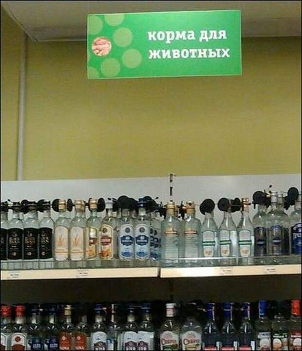 Прикольные надписи и объявления маразм, надпись, юмор