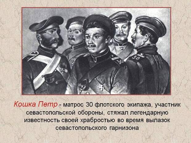 Пётр Кошка