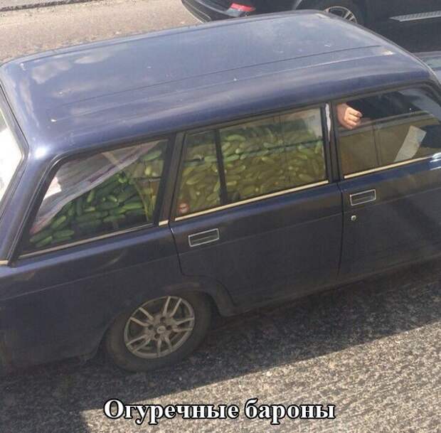 Автоприколы