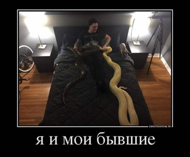 Прикольная пачка демотиваторов. Зимнее настроение Прикольная пачка демотиваторов. Зимнее настроение
