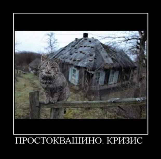Демотиваторы с приколами, развеселят кого угодно.