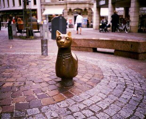 Кот, Лондон, Великобритания. Кот, Лондон, Великобритания.