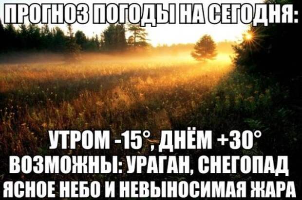 Прикольные картинки (39 шт)