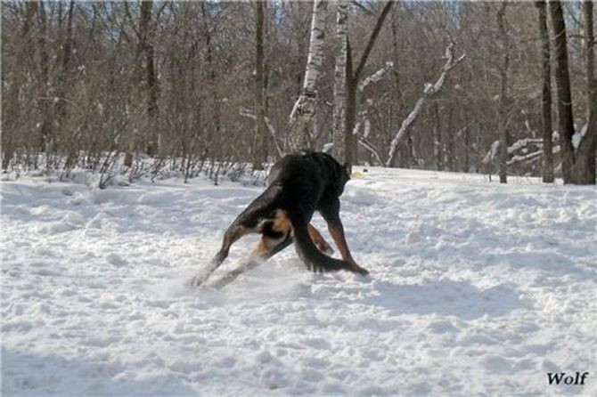 Осторожно, гололёд! зима, лед, люди, снег