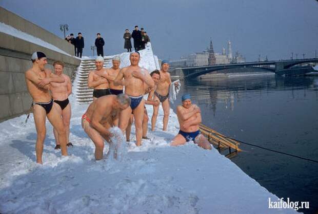 Моржи (55 фото) Моржи (55 фото)